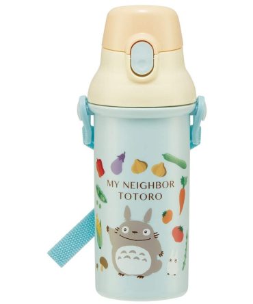 Skater 480ml Totoro Vegetable Color Water Bottle for Children – Ghibli Collection