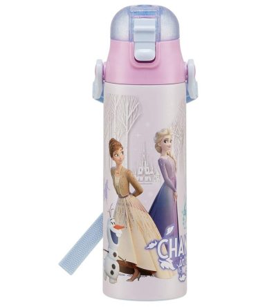 Skater Disney Frozen 21 Stainless Steel Sports Water Bottle 580ml Direct Drinking – Sdc6N